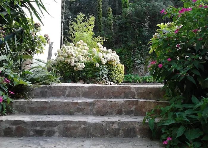 Soleado A 300 Mts De La Playa * Lloret de Mar