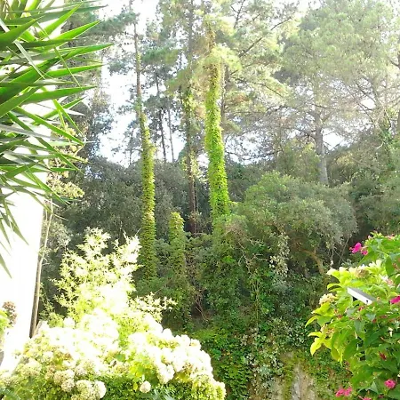 Appartement Soleado A 300 Mts De La Playa Lloret de Mar