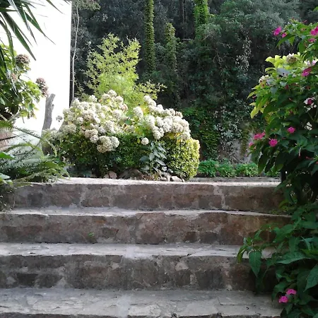 Soleado A 300 Mts De La Playa * Lloret de Mar