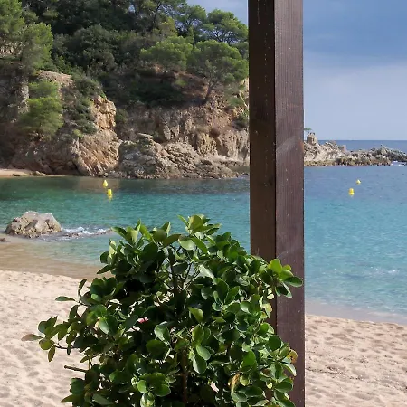 Soleado A 300 Mts De La Playa يوريت دي مار